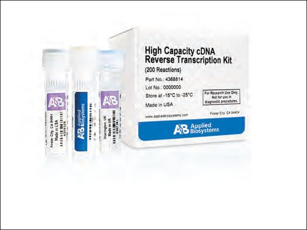 Capacity cdna Reverse