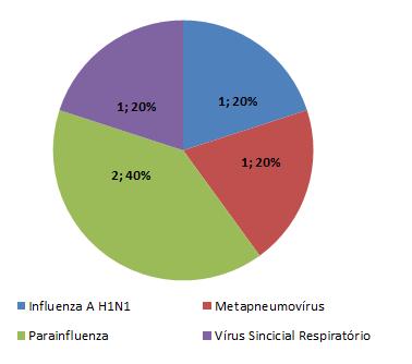 Análise do Caso Positivo em 18 O município conta, até a SE 1 de 18, com um caso com amostra positiva para o vírus Influenza (Influenza A H1N1), com idade de 11 meses, residente do bairro de Afogados.