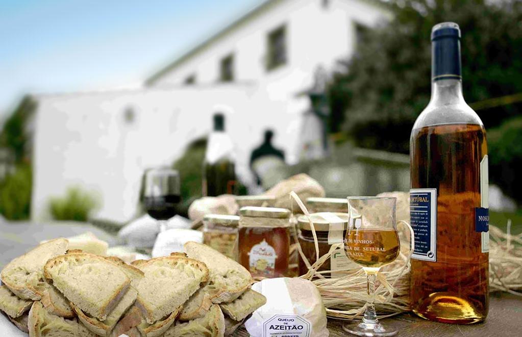 A 17ª edição do Festival Queijo, Pão e Vinho decorre entre 1 a 3 de Abril, em S. Gonçalo, freguesia de Quinta do Anjo, concelho de Palmela (Portugal).