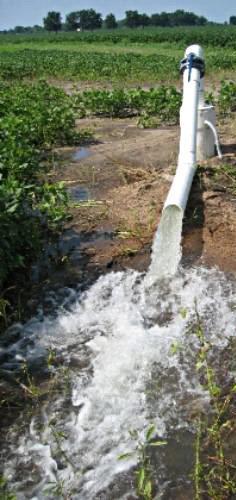 Filtração em sistemas de irrigação > Água e sua interação com o sistema > Obturações em sistemas de irrigação A qualidade da