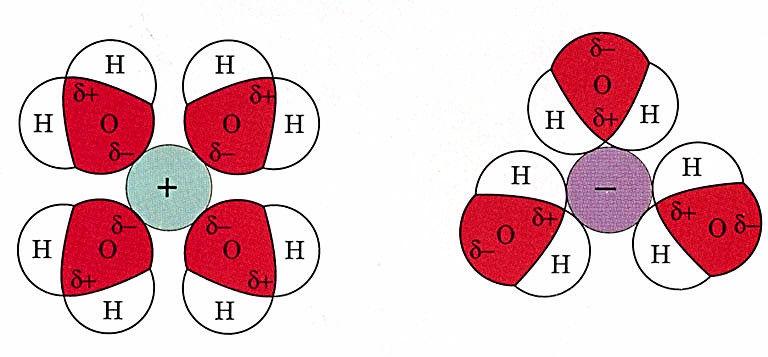 Blindagem das interacções electroestáticas A força de atracção efectiva entre 2 iões na água é dada por : F= q 1 q 2 /4πε 0 D r 2