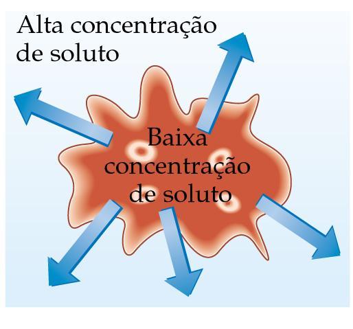 5.4. OSMOSE Crenadura: - glóbulos vermelhos colocados em solução hipertônica (em relação à solução intracelular); - existe uma concentração de soluto mais baixa na