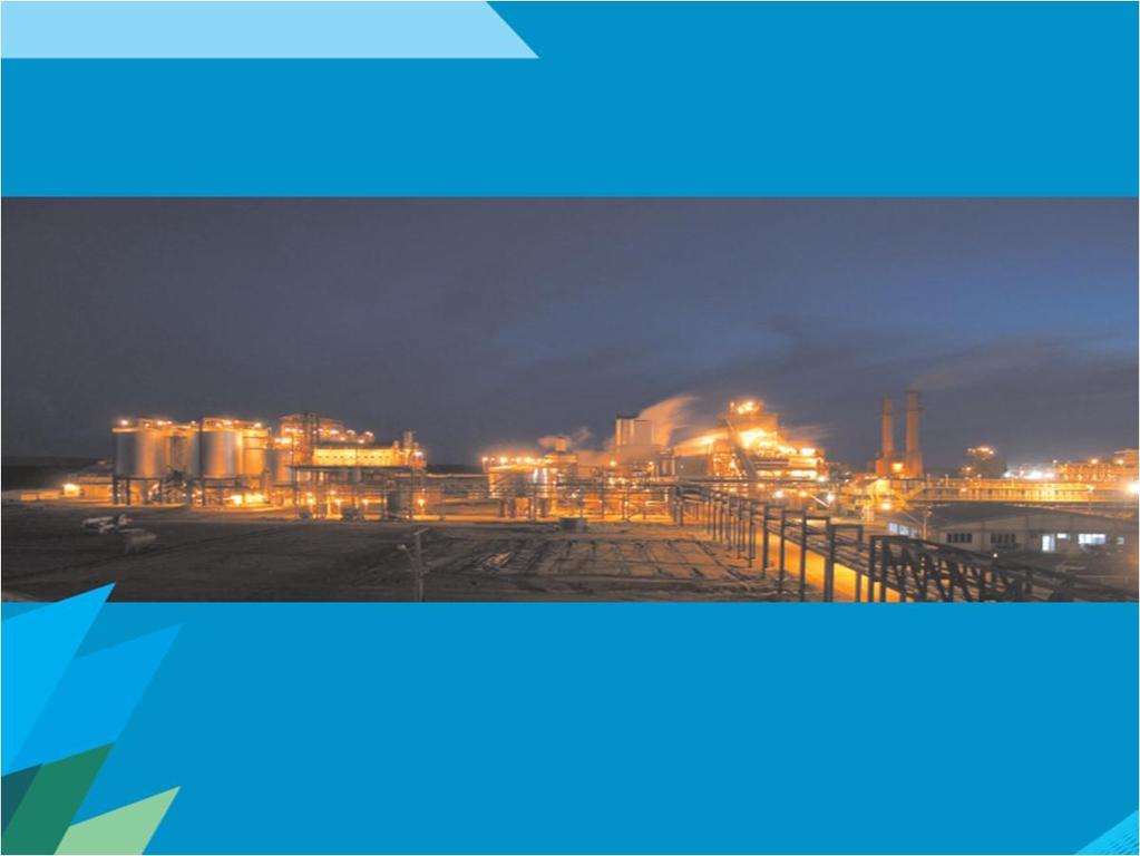 Concepção da Bevap Uma Planta Industrial para a produção de Etanol Hidratado, Açúcar e Co-geração de Energia Elétrica, visando a comercialização nos mercados interno e externo.
