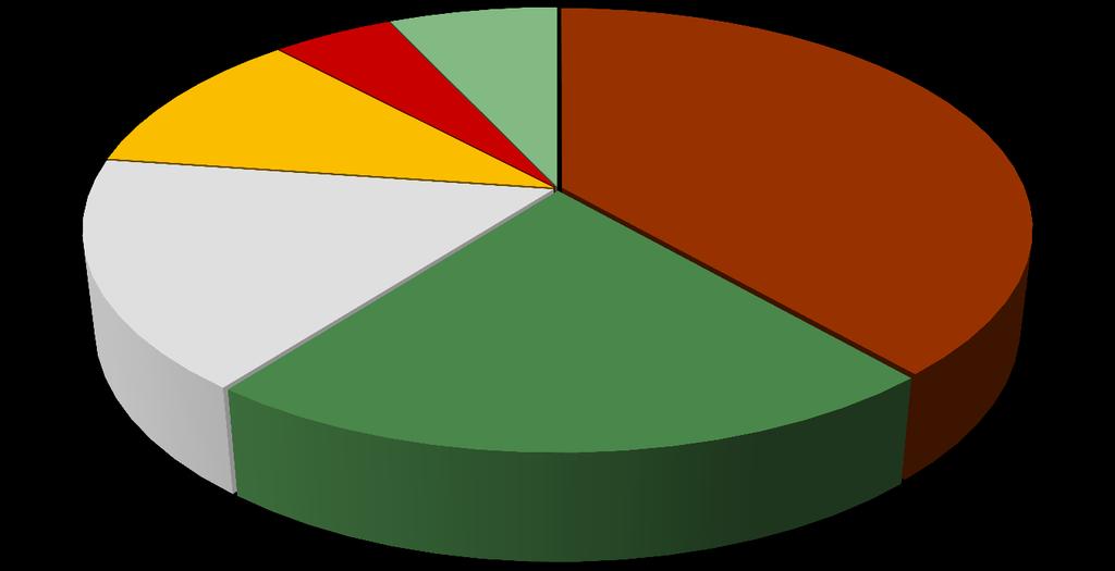 Produção de Energia Elétrica por Fonte 65%