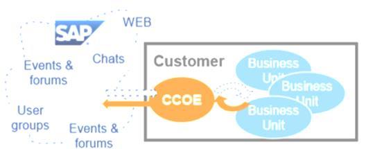 A equipa de CCOE é responsável por os processos de auditorias de licenças de todos os sistemas SAP.