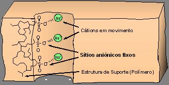 Membrana íonseletiva São Ionômeros que apresentam grupos funcionais positivos