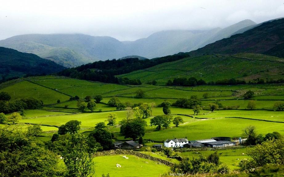 b) Que elementos você observa na paisagem dessa área?