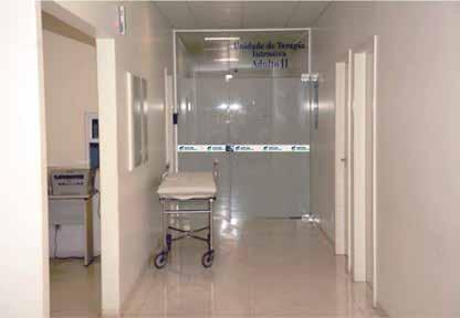 urologia dos portes pequeno, médio e grande.