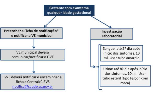 Comunicar SCIH-HIAE Em horário comercial: ramais 72616, 72646, 72647 e 72680 ou fora do horário comercial no celular: (11) 97283-3587 Se teste positivo para Zika vírus: acompanhamento