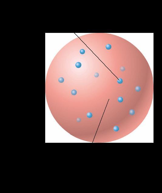 A descoberta da estrutura atômica O átomo com núcleo Pela