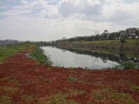 Identificar o local; Roçar da vegetação em torno das lagoas Remoção do lodo Nenhuma