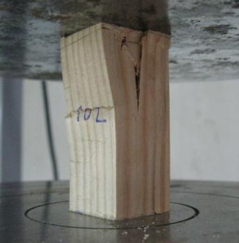 As roturas por compressão caracterizam-se pelo surgimento de pregas, correspondentes ao esmagamento/instabilização de fibras. F (kn) 25 20 15 10 5 0 δ (mm) 0 1 2 3 4 Figura 3.