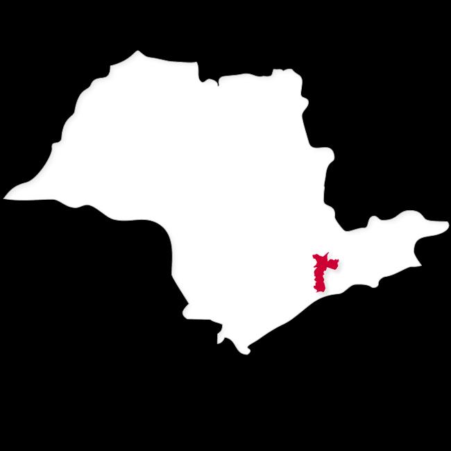 Estratégia de Atuação Foco na Região Metropolitana de São Paulo (RMSP) 5 cidades entre os 15 maiores PIBs do país; Foco em empreendimentos residenciais de Classe Média e Comerciais Preço Unitário de
