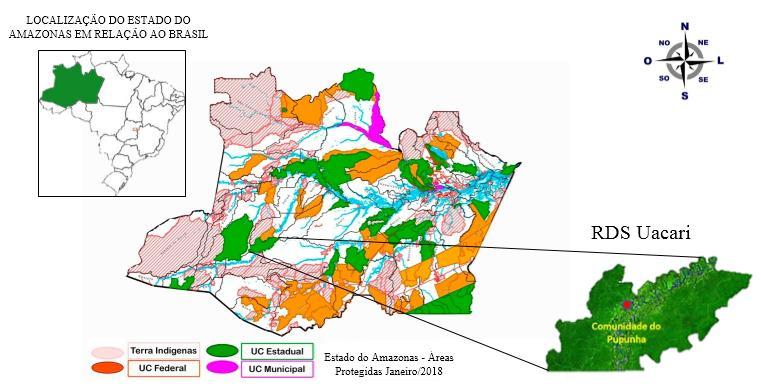 MATERIAL E MÉTODOS Área de estudo O estudo foi desenvolvido em uma área de floresta ombrófila densa das terras baixas (MARTINS e CAVARARO, 2012), na comunidade do Pupunha, localizada nas coordenadas
