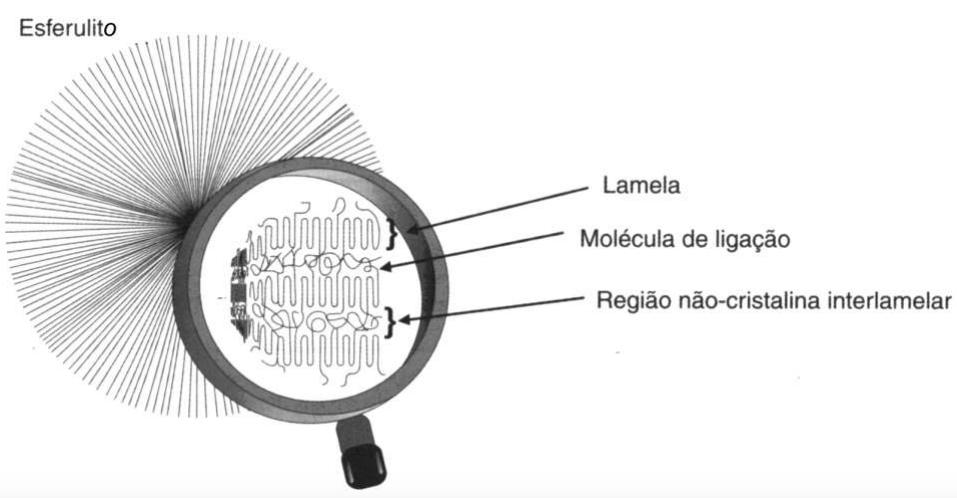 2.1.3.2 Modelo das cadeias dobradas e lamelas Na década de 50, um novo modelo de conformação das cadeias foi proposto quando se obteve, pela primeira vez, monocristais poliméricos [5].