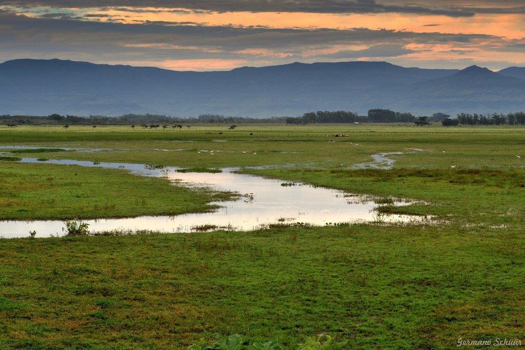 São drenadas por grandes rios e concentram