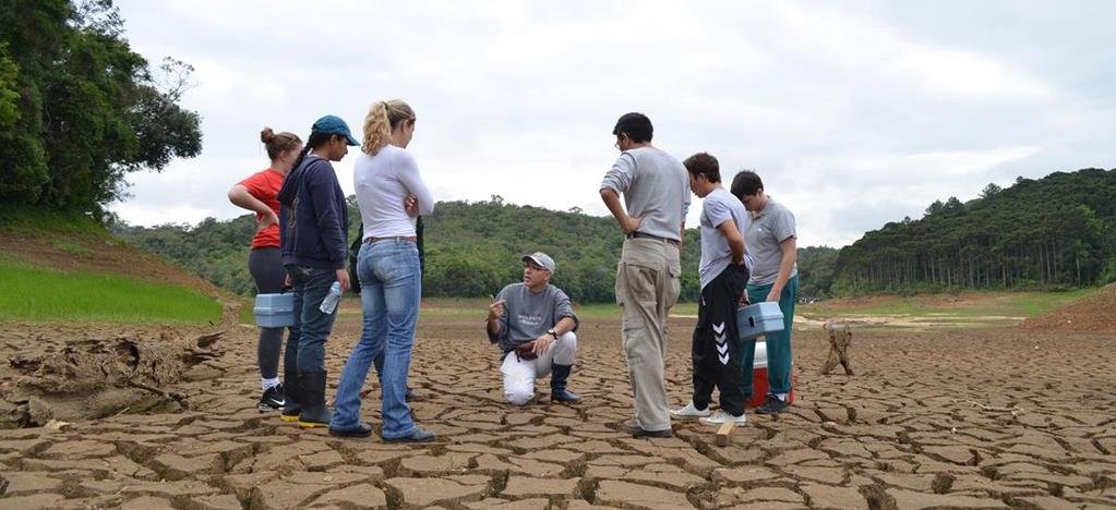 Universidade Federal do Paraná Engenharia Civil Ciências do Ambiente Aula 19 O Meio