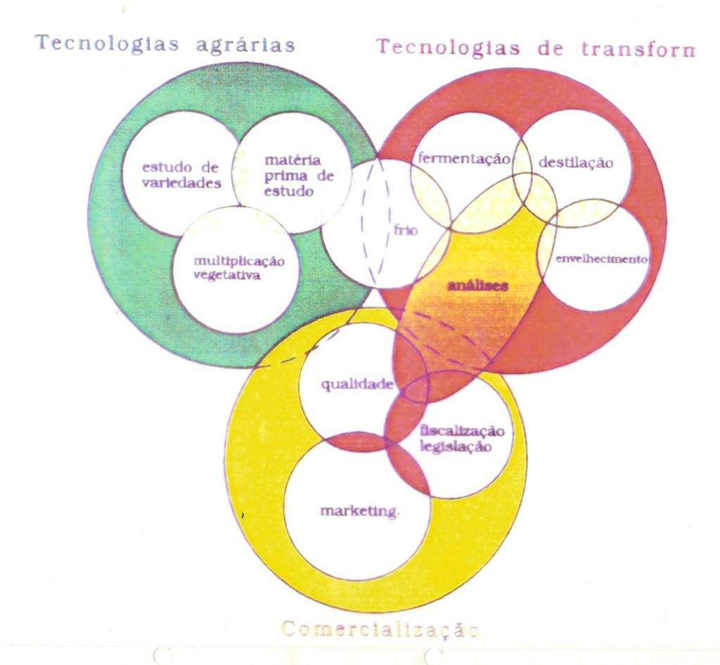 Esquema da autoria de José