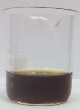 elevada concentração dos íons sulfato e cloreto na borra. Nos dois experimentos, a borra em pó foi solubilizada com ácido sulfúrico do ajuste do ph reacional.