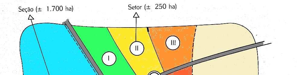 SETORIZAÇÃO DA ÁREA AGRÍCOLA Setorização