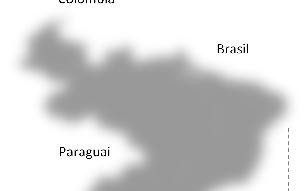 Paraguai Uruguai Divisão Indústria Internacional 40% Divisão Indústria Brasil 46% Divisão Trading: As fontes produtivas desta Divisão