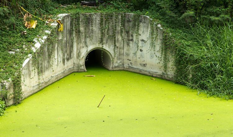 PRINCIPAIS CONTAMINANTES EM ESGOTOS