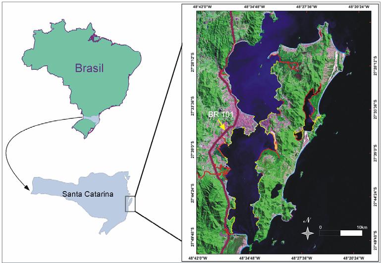 17 2 CARACTERIZAÇÃO DA ÁREA DE ESTUDO O presente estudo foi realizado na Ilha de Santa Catarina e área de entorno (Fig. 1).