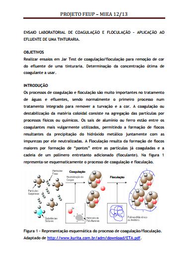 IV 7. Apêndice I - Protocolo de