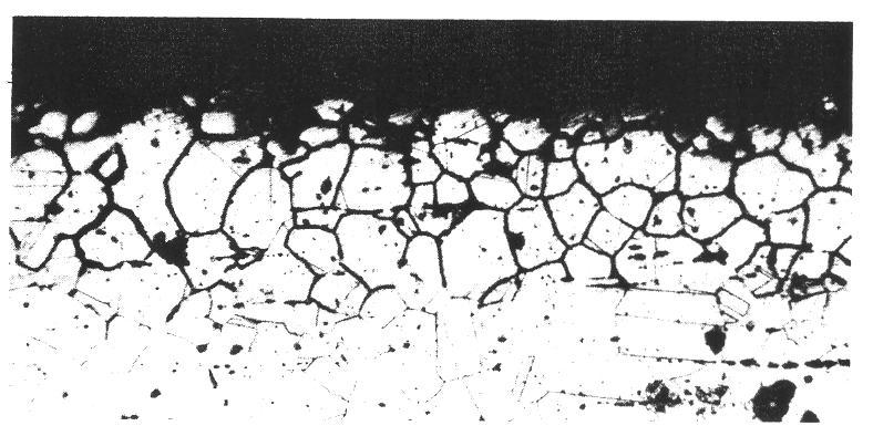 Aços Inoxidáveis Austeníticos (Morfologia Sensitização) Micrografia óptica de aço inoxidável austenítico sensitizado mostrando corrosão
