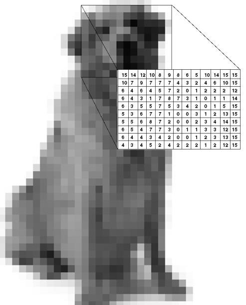 pixels As amostras discretas (pixels) são