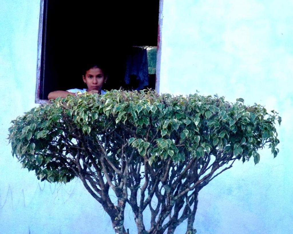 As casas dessa foto pertencem ao Bairro do Penta, que conforme os moradores, assim foi nomeado porque sua ocupação _que teve como