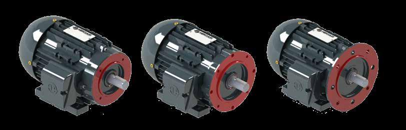 IEC - IP 55 PADRÃO Os motores H-Eco foram senvolvidos para atenr as aplicações uso industrial. Motores alta eficiência, proporcionando gran redução no consumo energia elétrica.
