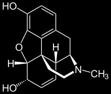 40 A morfina é um alcaloide e, portanto, o melhor procedimento de extração a ser utilizado em termos de rapidez e praticidade é a extração líquido-líquido que deve ser realizada com um solvente
