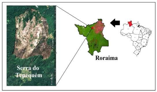 Buscando essa realidade para Roraima, o impacto ambiental do garimpo de ouro e diamante na serra do Tepequém constituiu-se em uma área com características peculiares dos solos amazônicos sendo