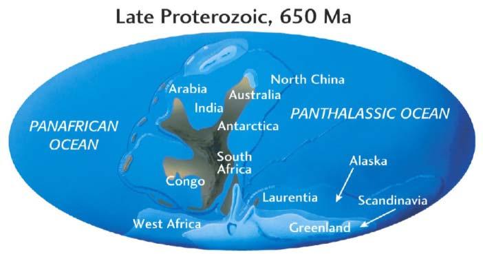 ~2000 Ma. ~1300 Ma. ~700 Ma. 545 Ma. 300 Ma. 120 Ma. 65 Ma. 2,5 Ma. 0,5 Ma.