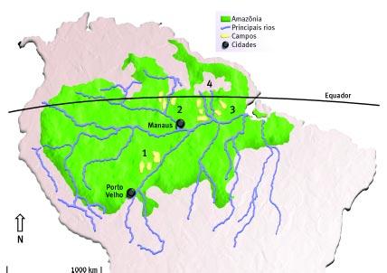 ria (figura 2), mas cobrem áreas extensas, apresentando diferentes padrões de distribuição, desde o tipo ilhas isoladas (como em Humaitá, ao sul do estado do Amazonas) até o tipo contínuo (como os