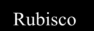 Bifosfatocarboxilaseoxigenase - Formação de Trioses