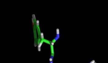 Biomembranes role on dengue virus assembly