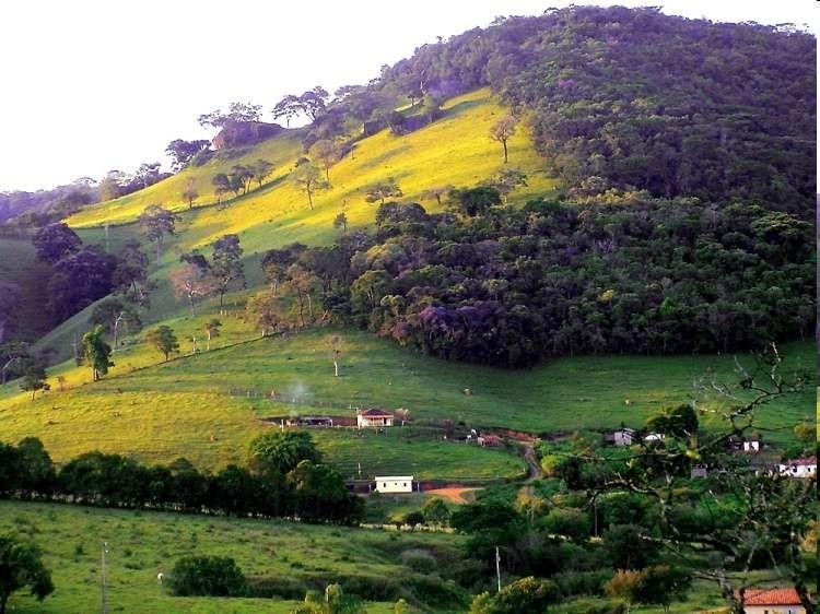 situados em locais