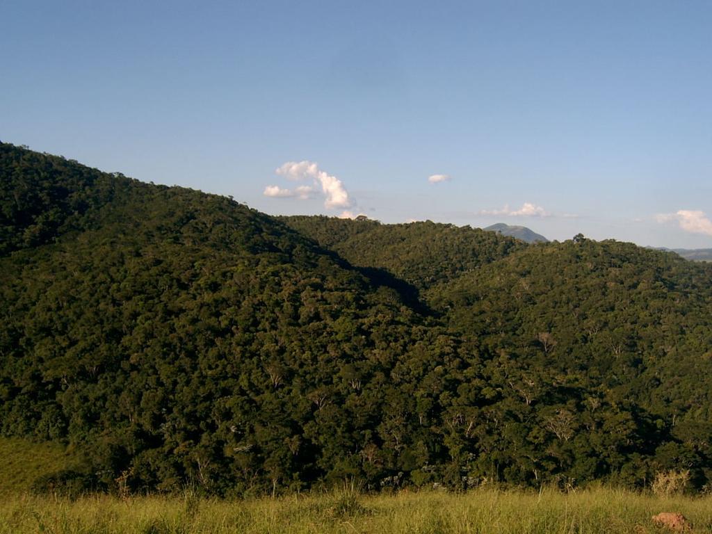 2.4. Vegetação e uso atual Inserida em região de ocorrência da Mata Atlântica, o ecossistema original da microbacia do Ribeirão das Antas se caracteriza como Floresta Estacional Semidecidual