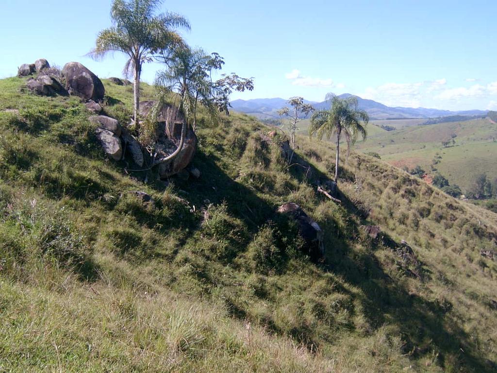 apenas depósitos sedimentares inconsolidados de idade Quaternária correspondendo a aluviões e colúvios associadas