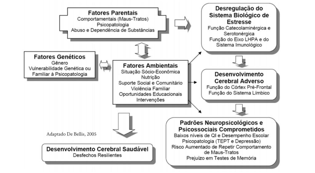 Separação Materna Comportamento Materno Desmame precoce Função eixo HPA Corticosterona Expressão GR e MR Animais isogênicos Empobrecimento/ Enriquecimento Ambiental Privação de alimento Córtex