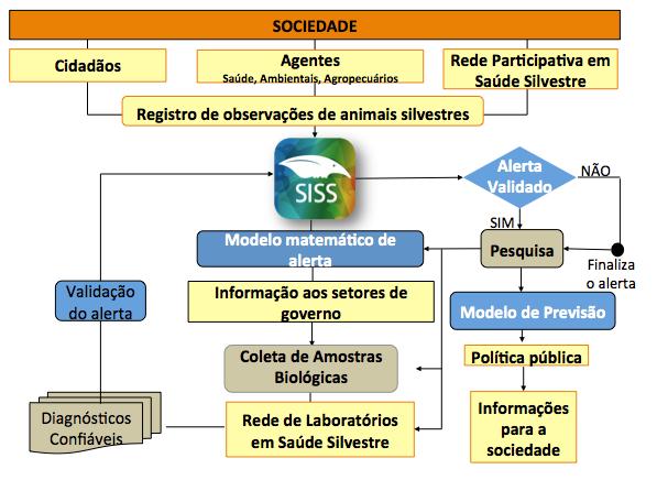 Ampliação do diagnóstico (diferencial)