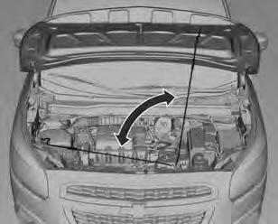 Black plate (7,1) Cuidados com o veículo 10-7 Para manter o capô aberto, encaixe a vara de sustentação em seu furo na tampa.