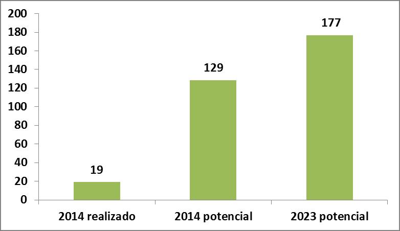 POTENCIAL DA BIOELETRICIDADE DA CANA PODEMOS IR MUITO ALÉM