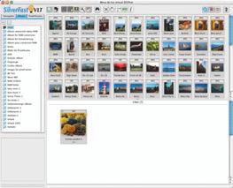 Iniciar a MLV e escolher, no navegador, a pasta com as imagens a serem impressas. Clicar no símbolo PrinTao.