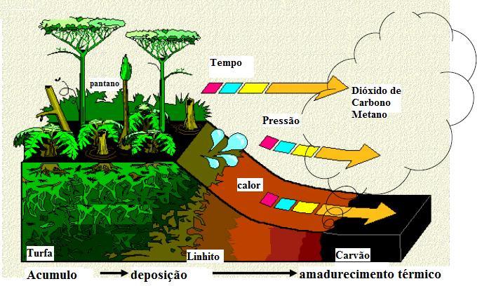 16 Capitulo 4 4. Carvão Mineral Existem dois tipos de carvão: vegetal e mineral.