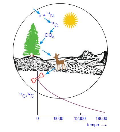 43 Figura 20. Esquema evidenciando a formação do 14C na atmosfera. (Fonte: http://www.cena.usp.br/labs/apostilape.