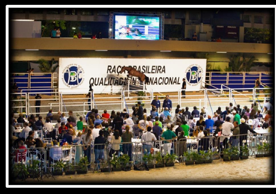 Público Seleto Promovido pela Associação Brasileira de Criadores do Cavalo de Hipismo (ABCCH), o Festival é o evento dos mais aguardados por criadores, proprietários, atletas e apaixonados pelos