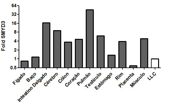 Figura 4: Expressão gênica de SMYD3 por PCR em tempo real em tecidos saudáveis (barras em cinza) e em pool de amostras de LLC (barra branca).